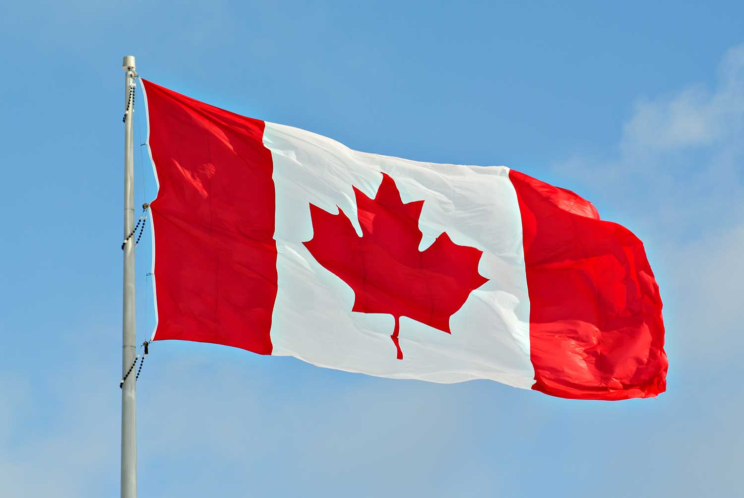 Happy Canada Day! : )
